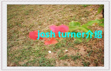 josh turner介绍